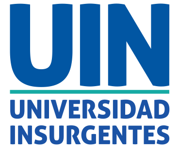https://indicemexico.com/wp-content/uploads/2024/11/Logo_UIN.png