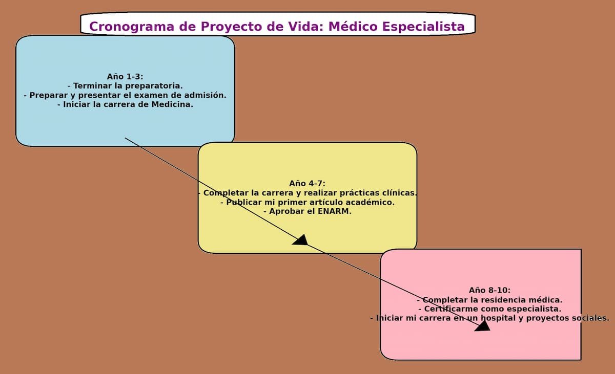 Ejemplo de proyecto de vida 2: Objetivo ser un Médico Especialista