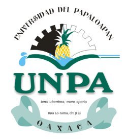 https://indicemexico.com/wp-content/uploads/2024/11/UNPA_logo.jpg