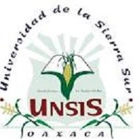 https://indicemexico.com/wp-content/uploads/2024/11/Universidad-de-la-Sierra-Sur.jpg