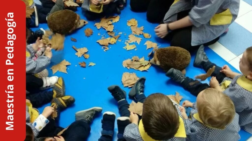 Maestría en Pedagogía