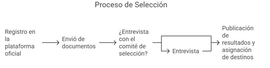 Proceso de Selección Beca Viajar
